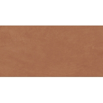 CLAYTONE - 12X24, TERRA, GRIP